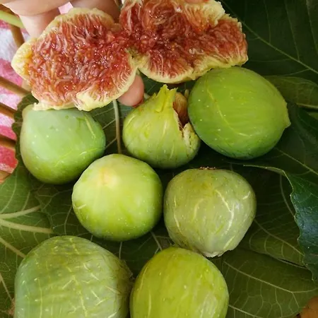 Couette-café Casa Del Sole Soverato Marina