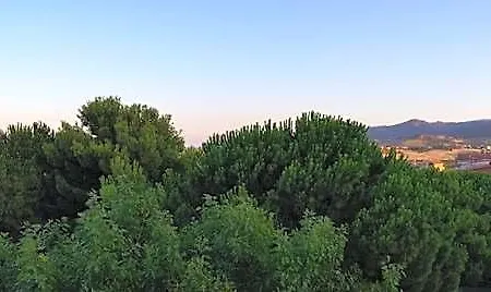 Bed and breakfast Casa Del Sole 3*